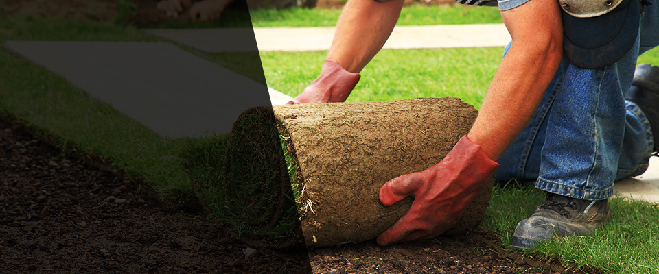 Reedsville Landscapers